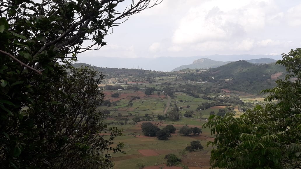 IMG-20190930-WA0018.jpg